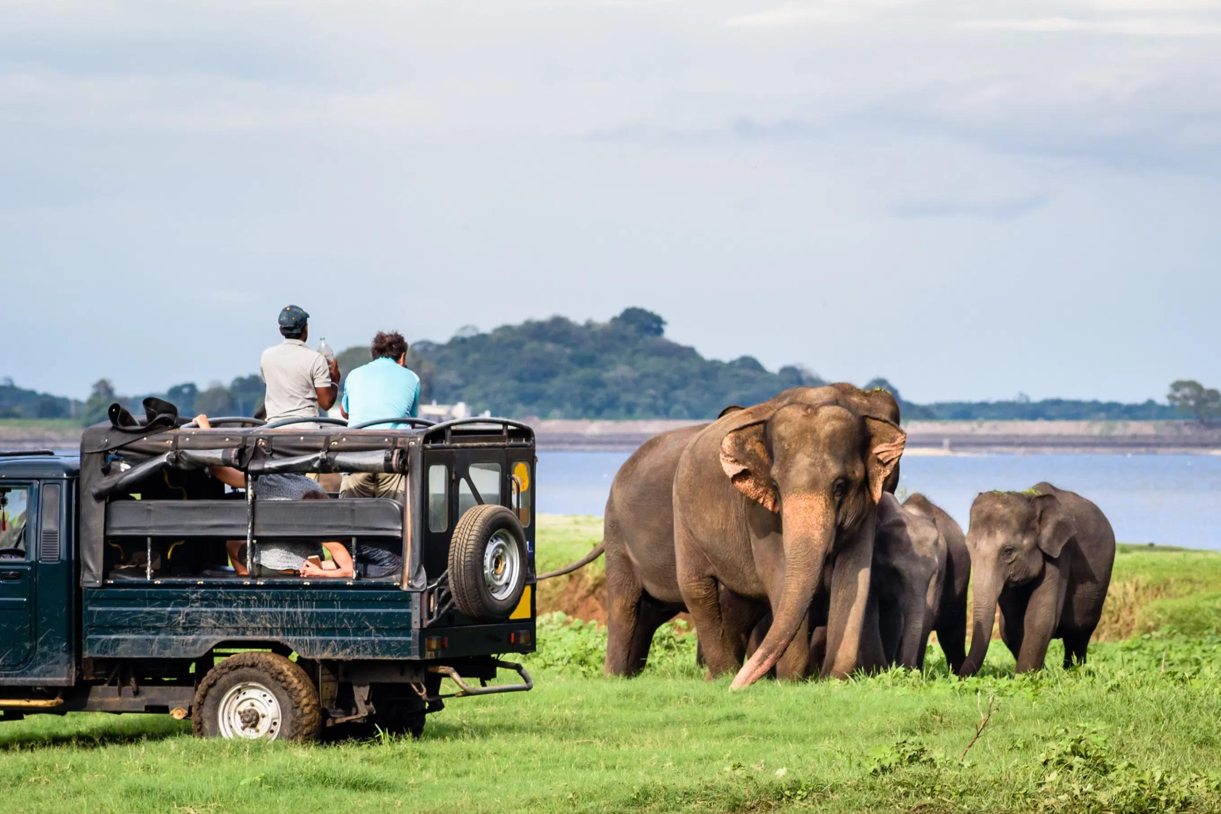 Wilpattu National Park