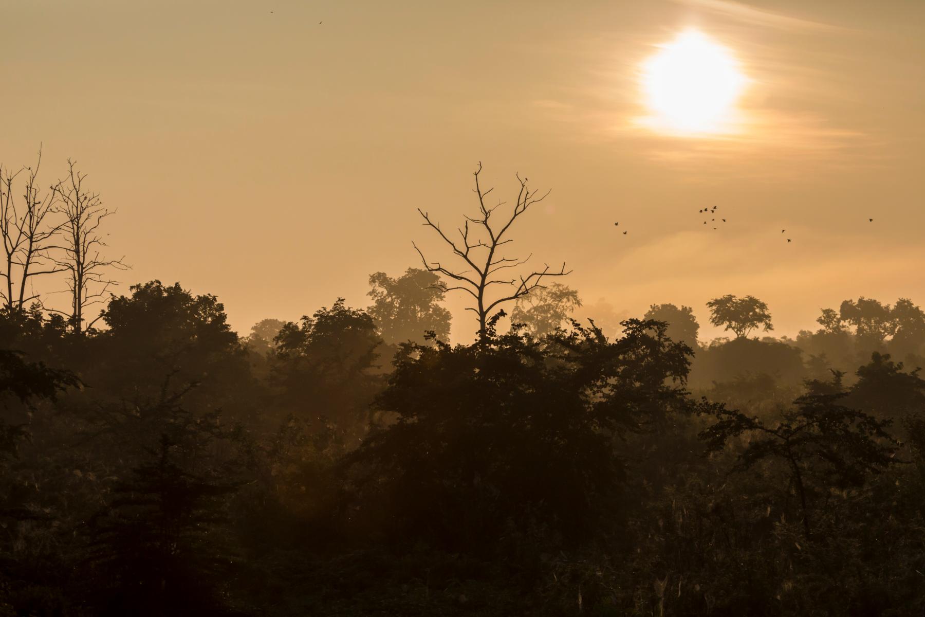 Kumana National Park