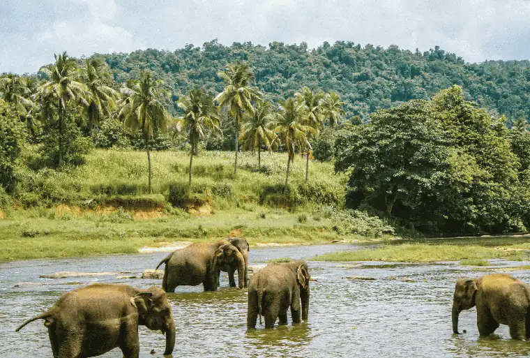Sri Lanka itinerary stop