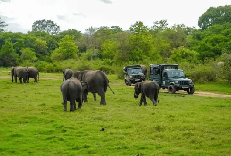 Sri Lanka itinerary stop