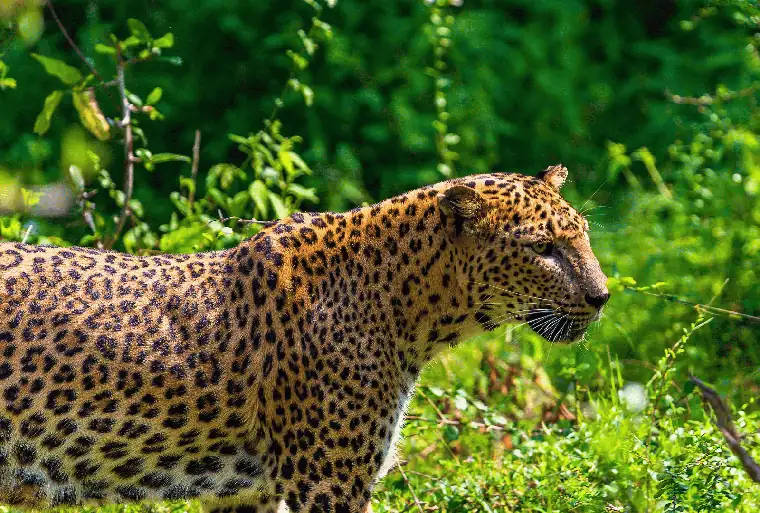 Sri Lanka itinerary stop