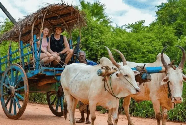 Cultural Triangle Landscapes in Sigiriya & Dambulla