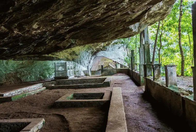 Rainforest & Belilena Cave in Kitulgala