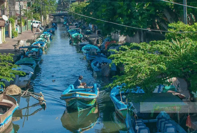 Negombo Lagoon in Negombo