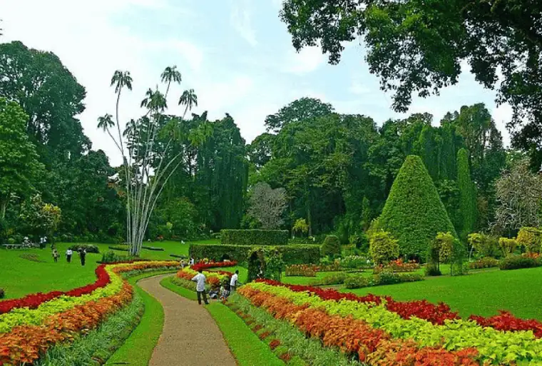 Royal Botanical Gardens in Kandy