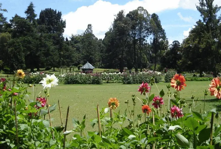 Victoria Park in Nuwara Eliya