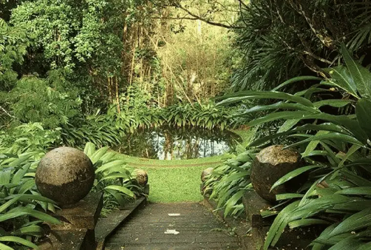 Brief Garden in Bentota