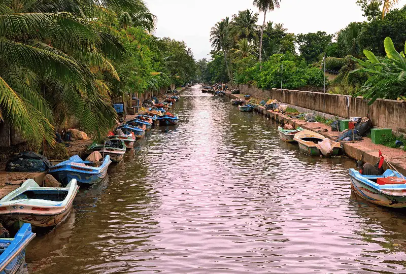 Travel moment representing Negombo